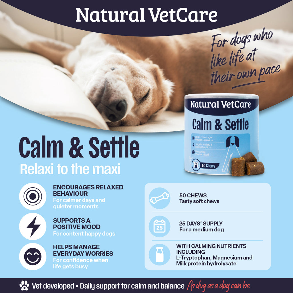 Calm & Settle