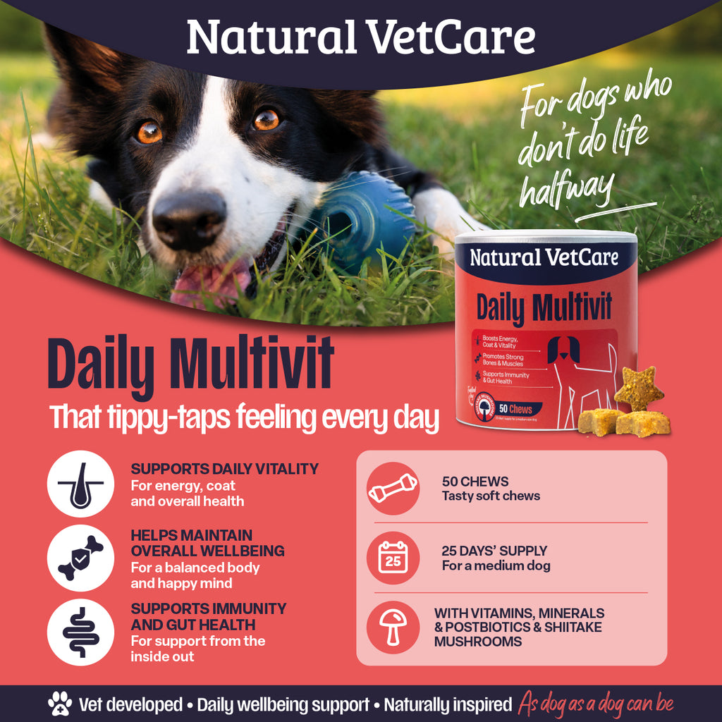Daily Multivit