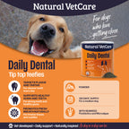 Daily Dental