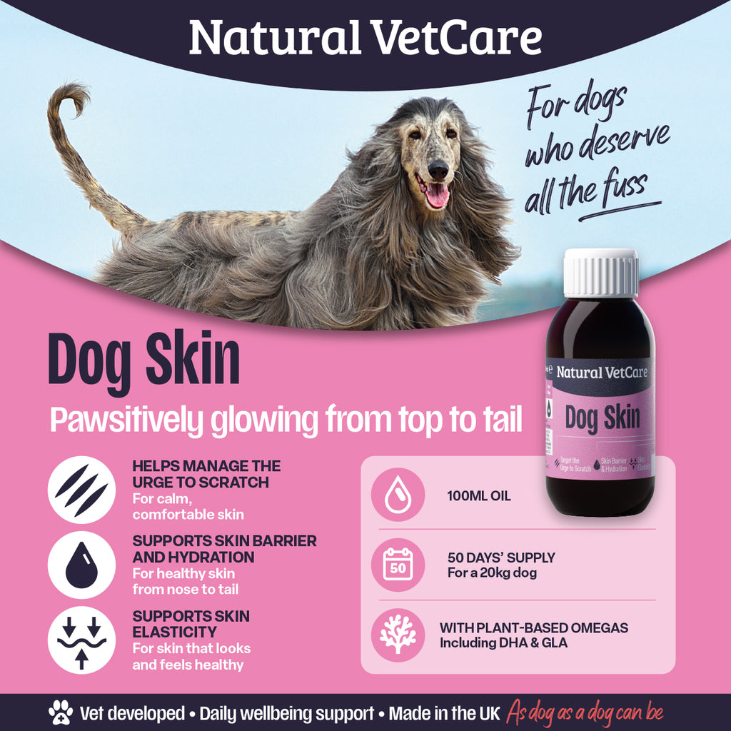 Dog Skin