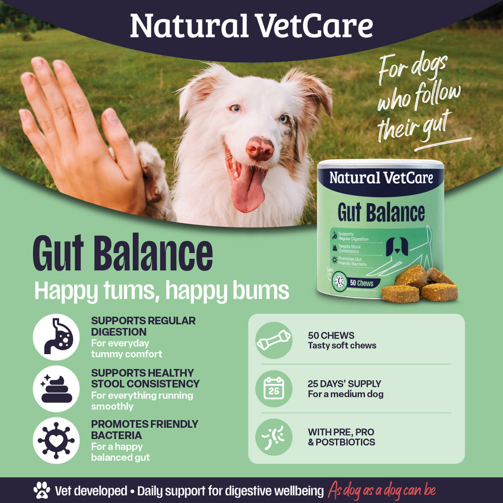 Gut Balance