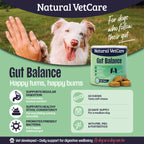Gut Balance