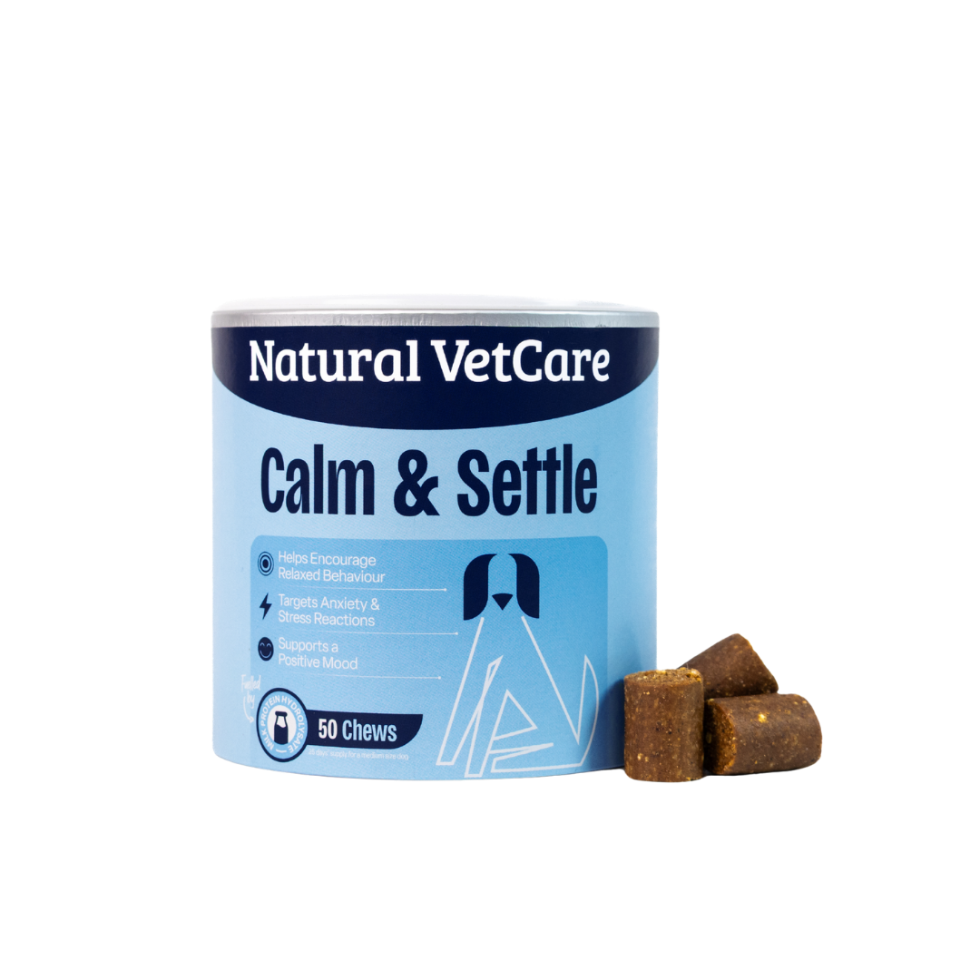 Calm & Settle