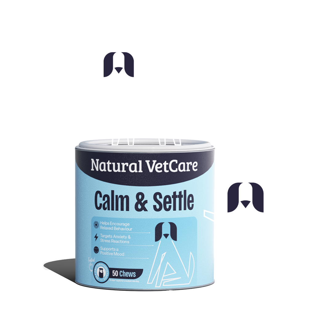 Calm and Settle for Dogs of All Ages