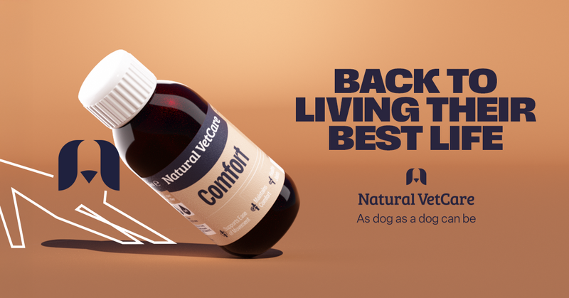 Bottle of Natural VetCare Comfort Oil supplement for dogs.