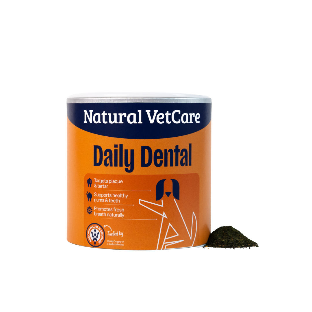 Daily Dental