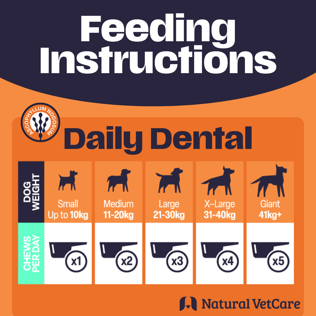 Feeding instructions for Daily Dental chews by Natural VetCare on an orange and navy background.