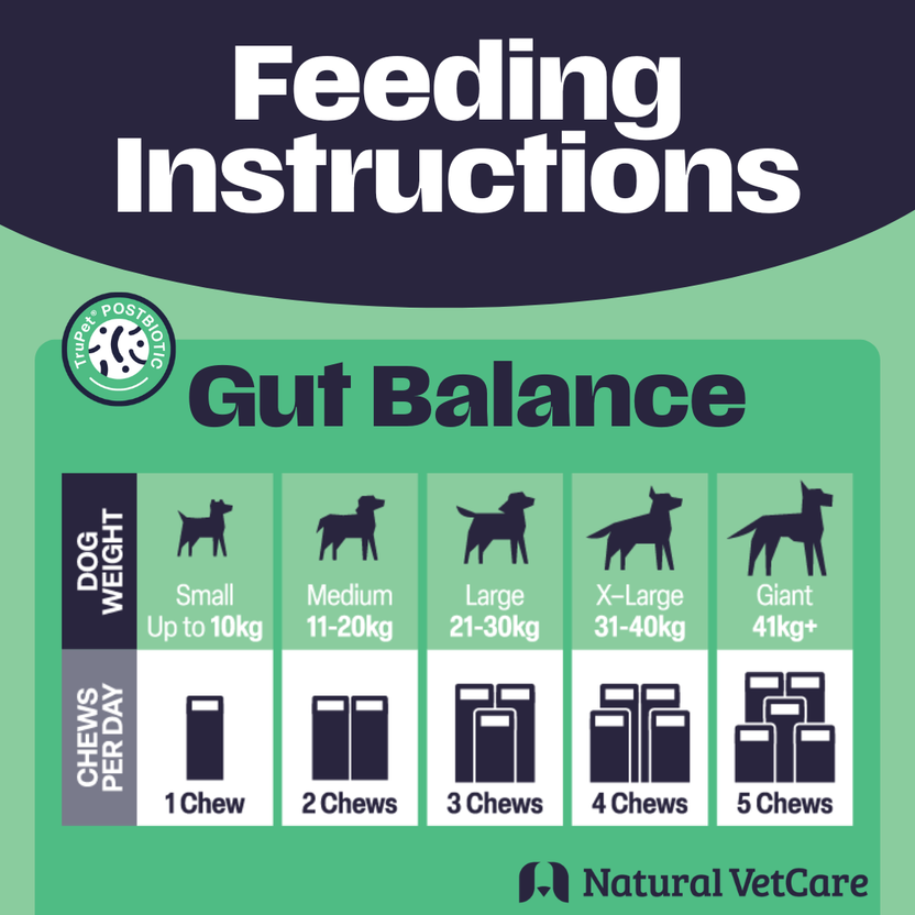 Feeding Instructions - Gut Balance