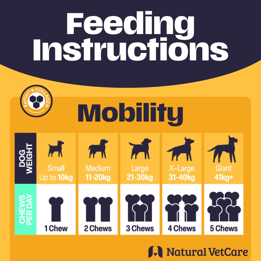 Feeding instructions mobility chart
