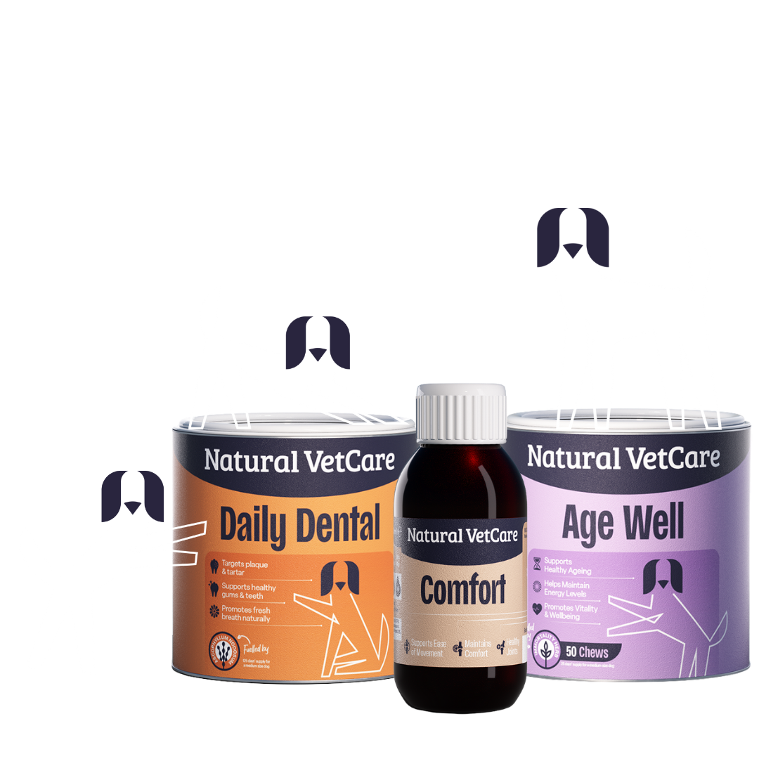 Tub of Daily Dental, Age Well and a bottle of Comfort liquid supplement from Natural VetCare on a white background with illustrated dogs sitting onto and next to the products.
