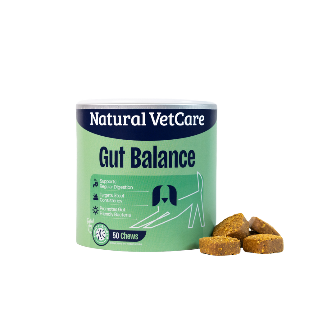 Gut Balance