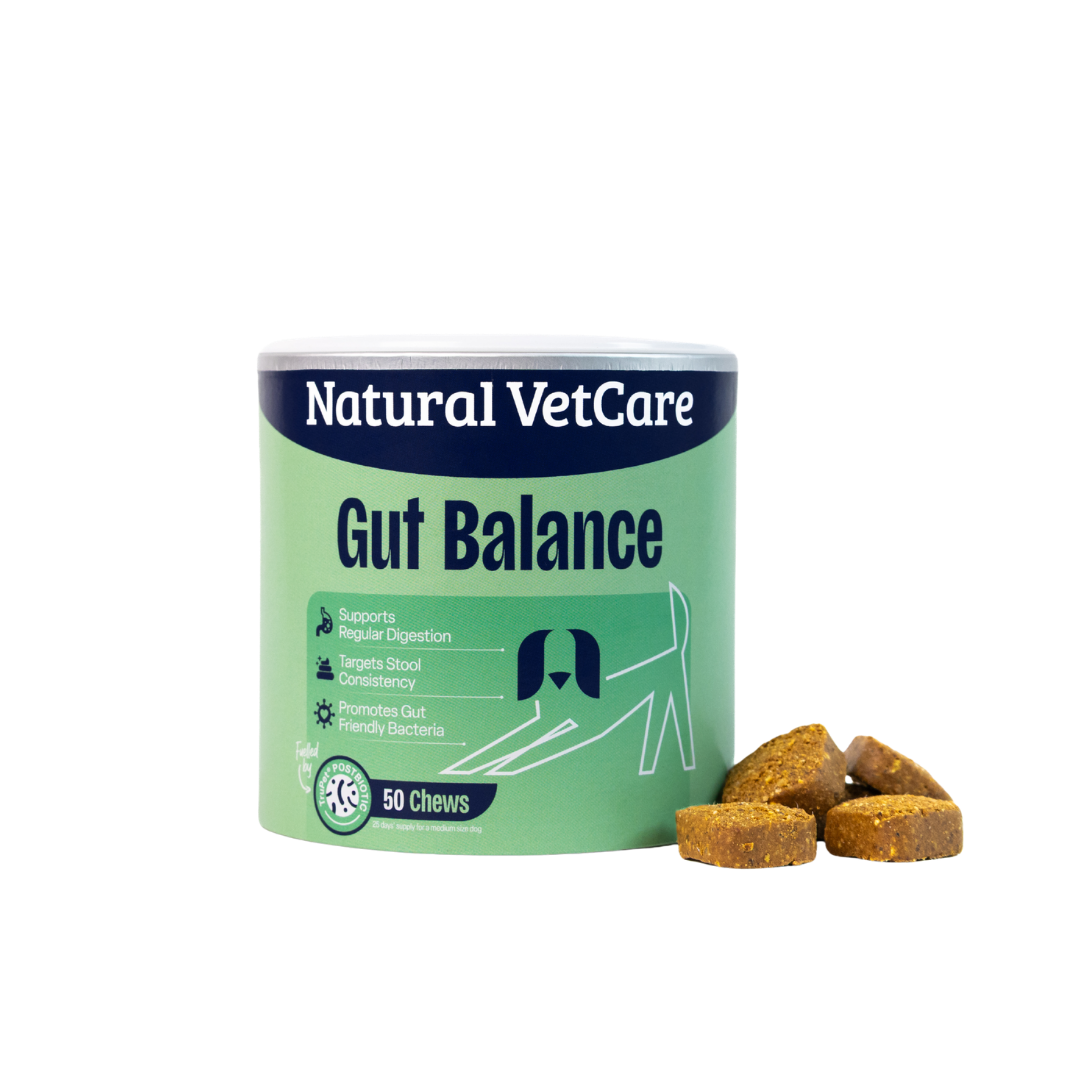 Gut Balance