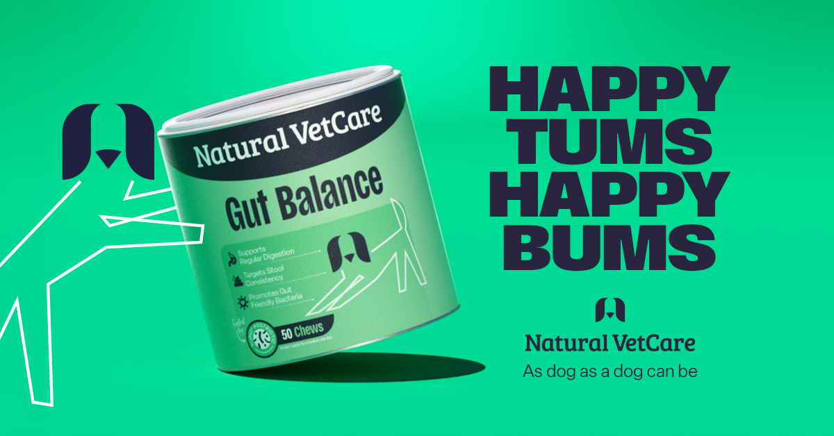 A canister of Natural VetCare Gut Balance supplement for dogs.