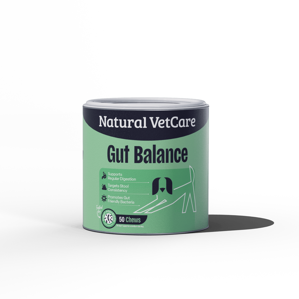 Canister of Natural VetCare Gut Balance on a green background