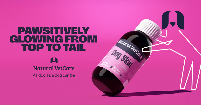 A bottle of Natural VetCare Skin Oil supplement for dogs, designed to support healthy skin and a glossy coat.