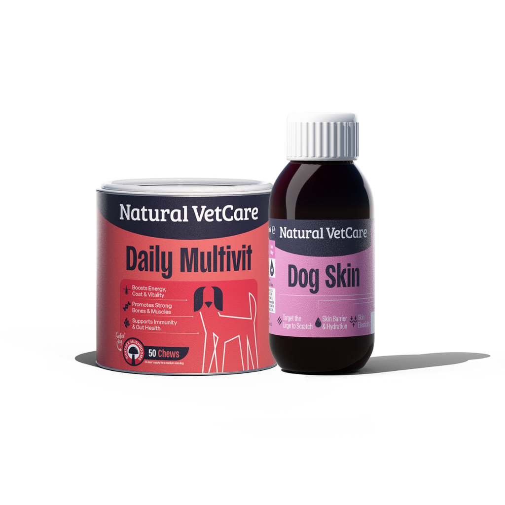 The Glossy & Glorious