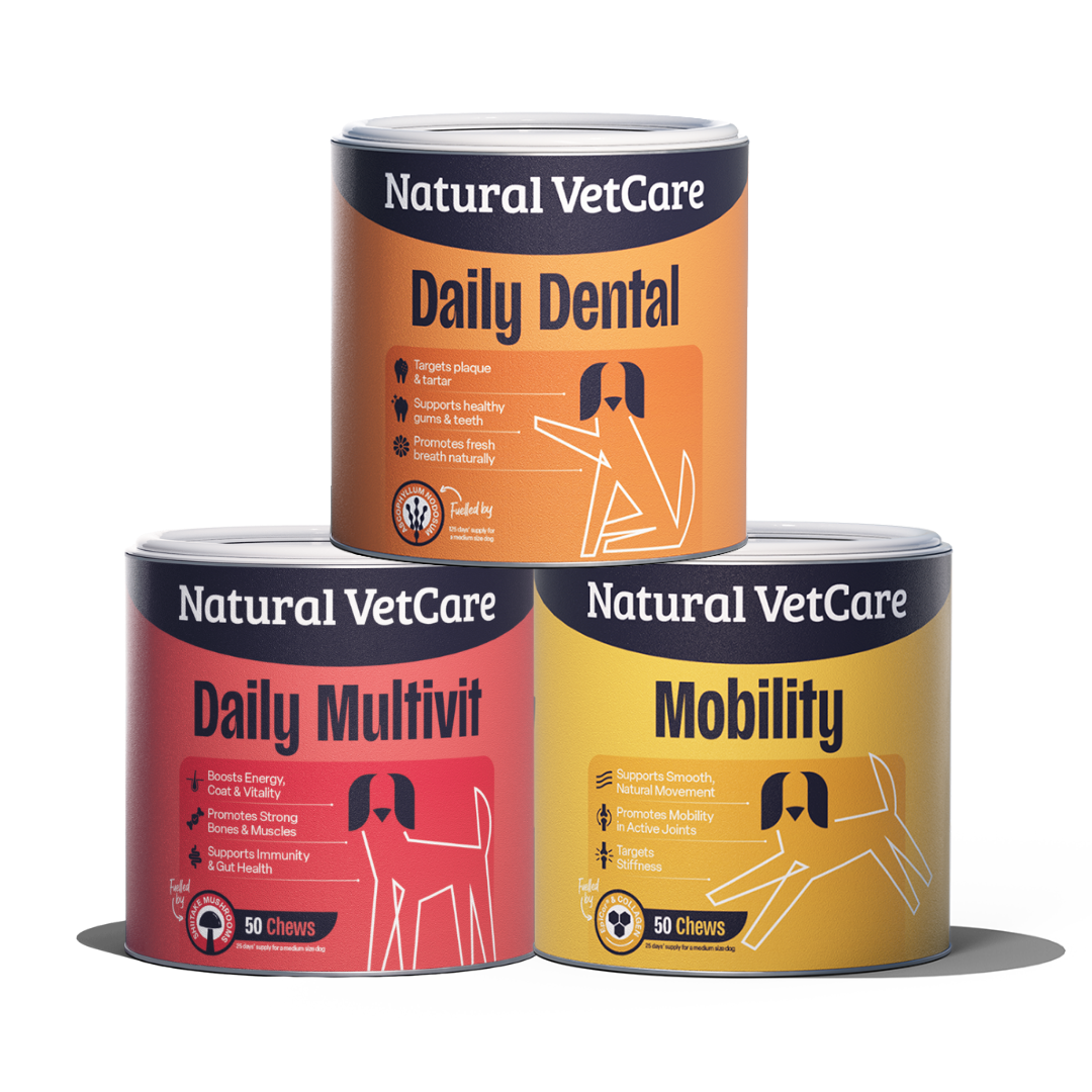 The All Round Good Dog