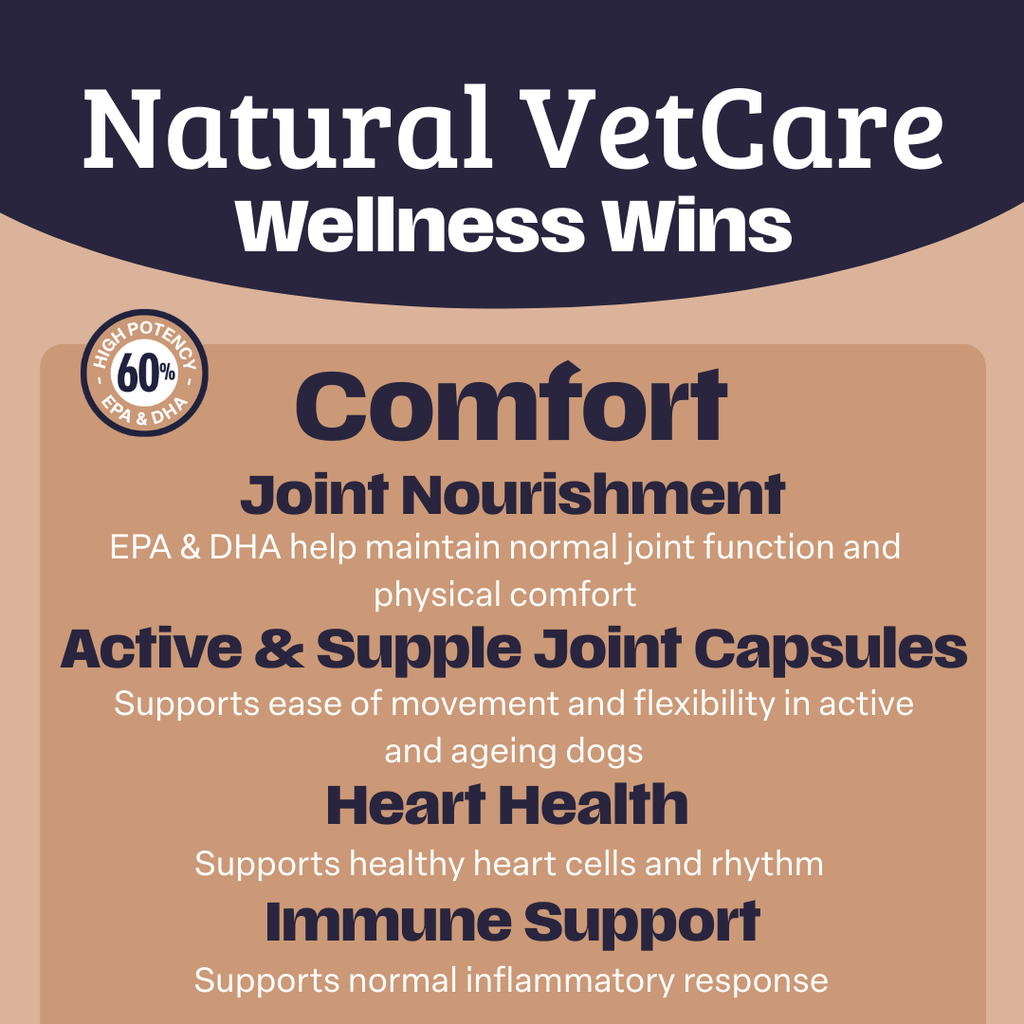 Natural VetCare Wellness Wins about joint nourishment, active & supple joint capsules, heart health, and immune support for the Comfort supplement