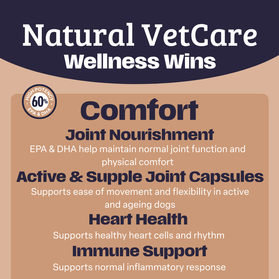 Natural VetCare Wellness Wins about joint nourishment, active & supple joint capsules, heart health, and immune support for the Comfort supplement