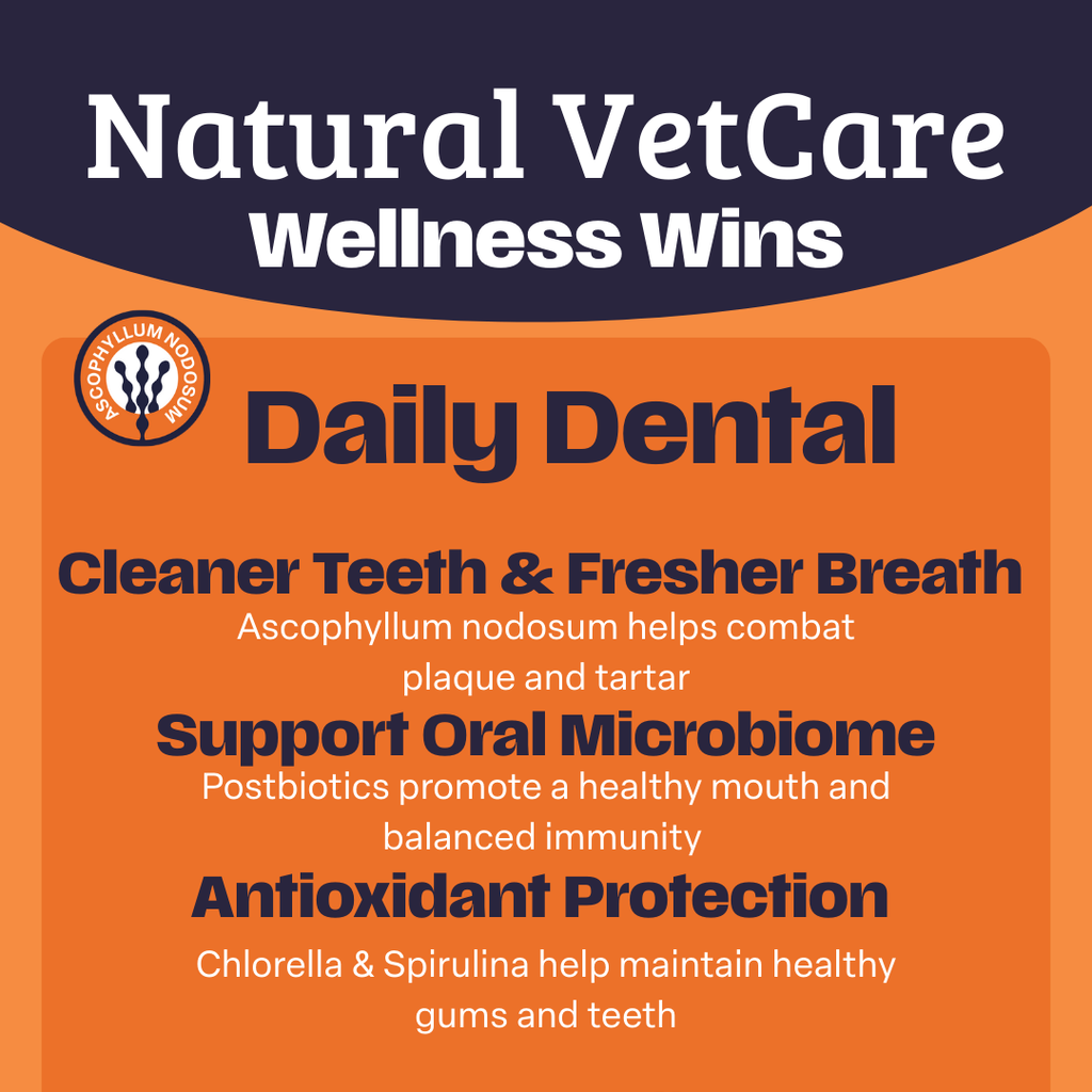Natural VetCare Daily Dental product benefits listed on an orange and navy background.