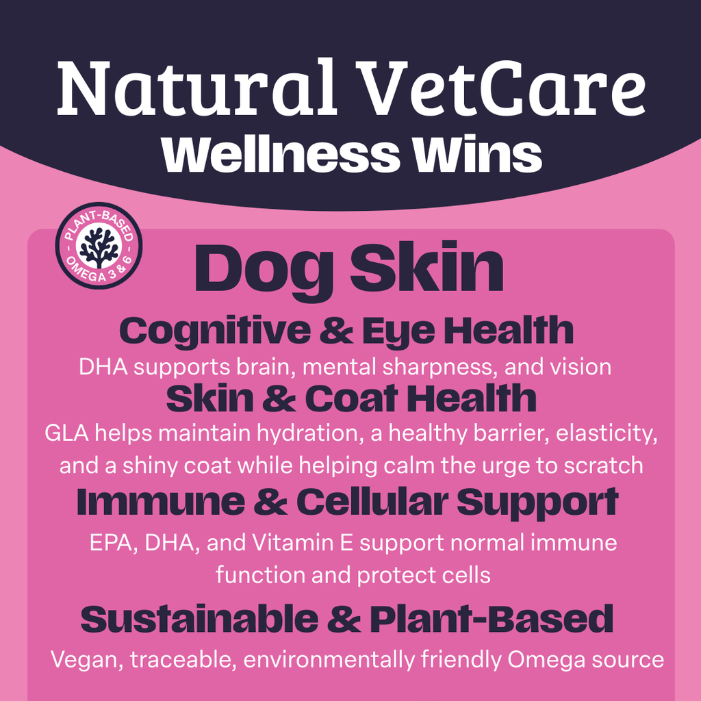 Natural VetCare Wellness Wins with benefits listed for Dog Skin supplement, cognitive, eye, skin, coat, immune, and cellular health on a pink and navy background.