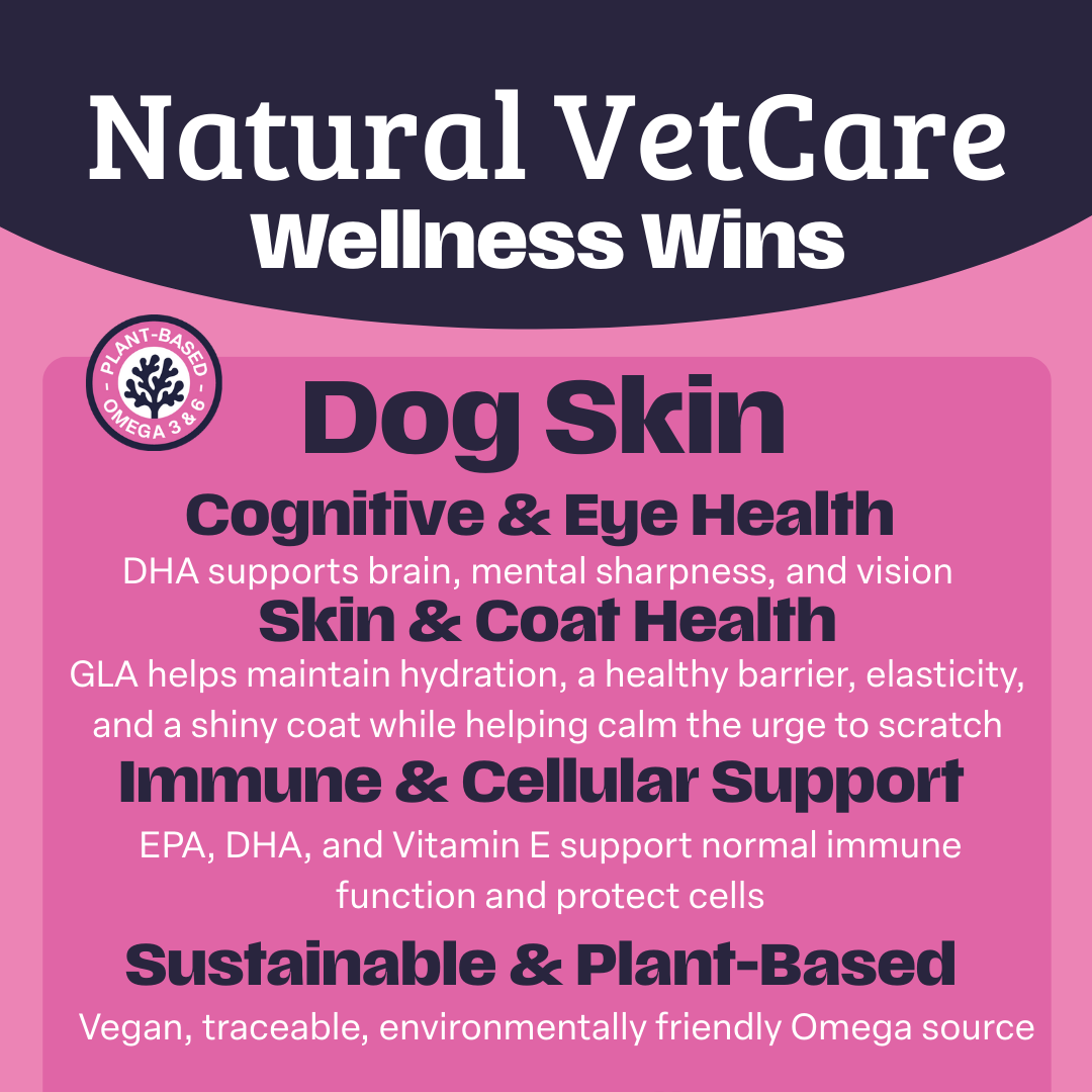 Natural VetCare Wellness Wins with benefits listed for Dog Skin supplement, cognitive, eye, skin, coat, immune, and cellular health on a pink and navy background.