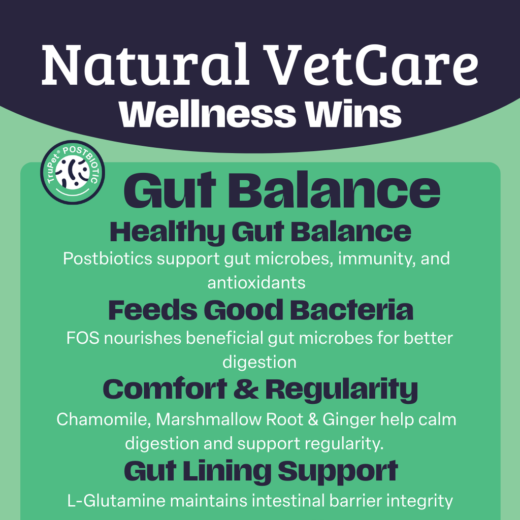 Natural VetCare wellness wins with text about gut health benefits on a green and navy background.