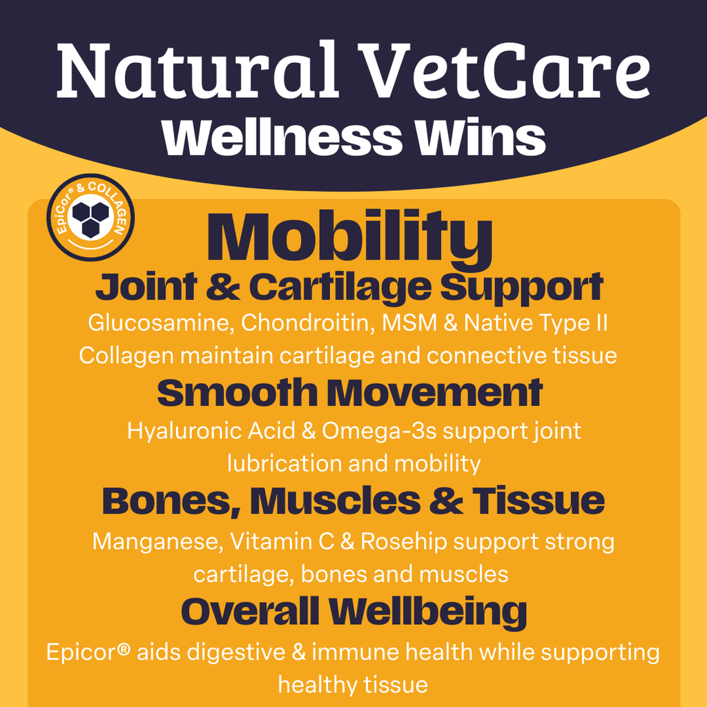 Natural VetCare Wellness Wins with text on joint and cartilage support, smooth movement, bones, muscles, and tissue, and overall wellbeing.