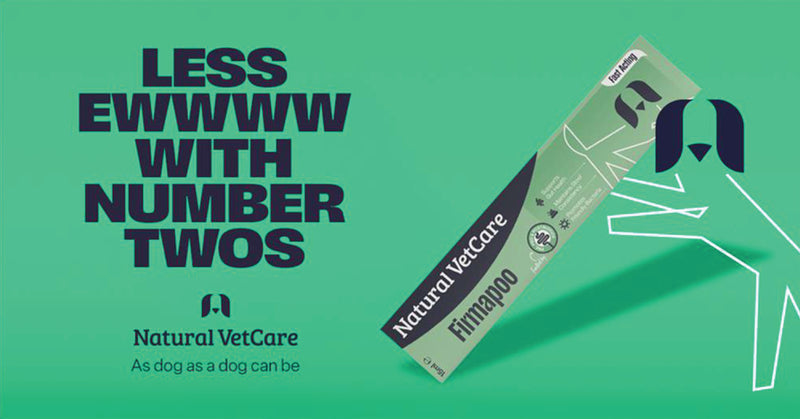 A close-up of a happy, active dog outdoors, symbolizing the health and vitality supported by Natural VetCare supplements.