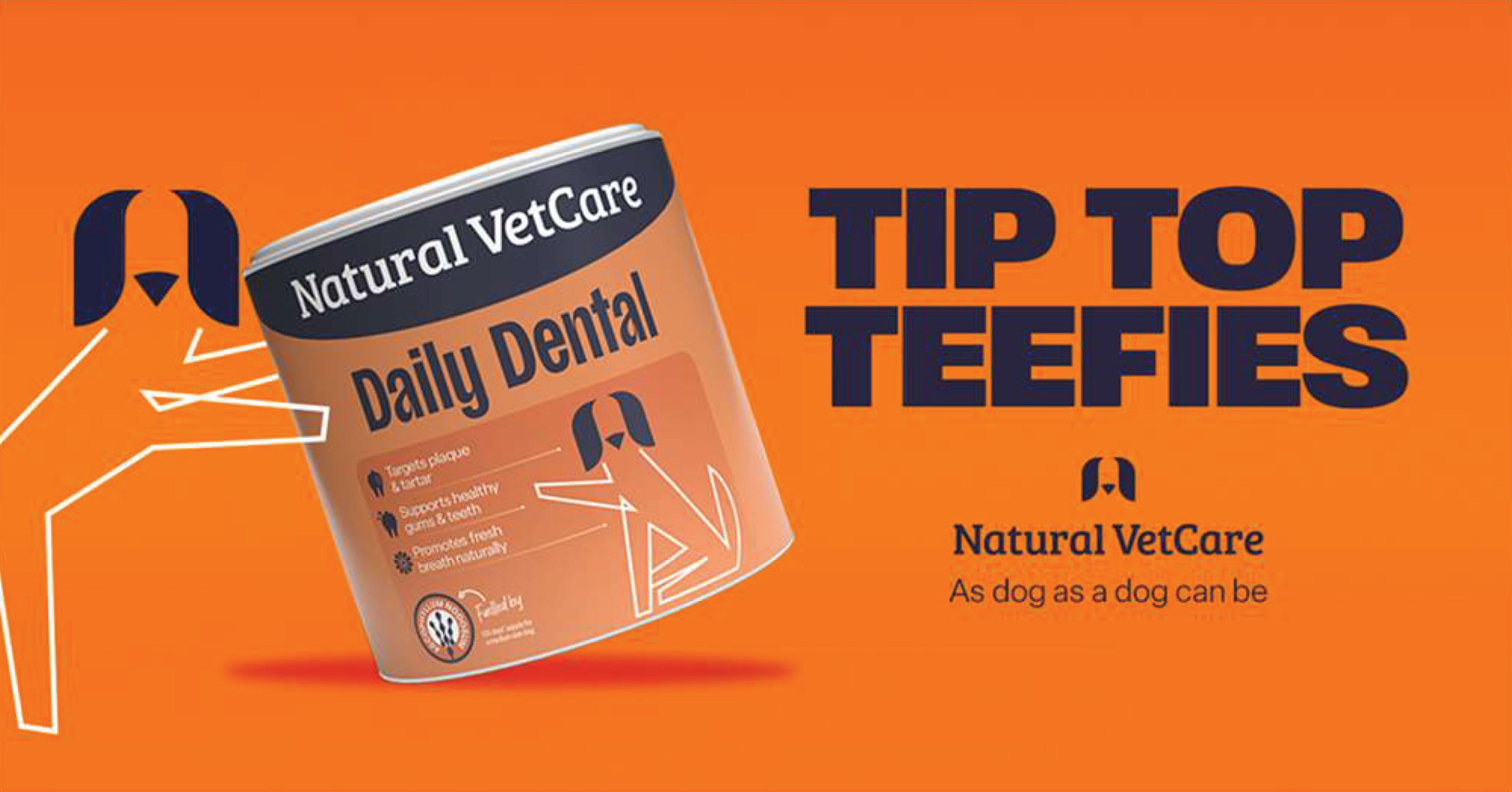 An athletic dog jumping over a fallen log in a dense forest, showcasing agility and joint health.