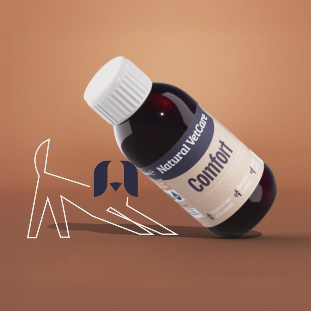 Video of animated dog lifting up a bottle of Natural VetCare Comfort liquid supplement