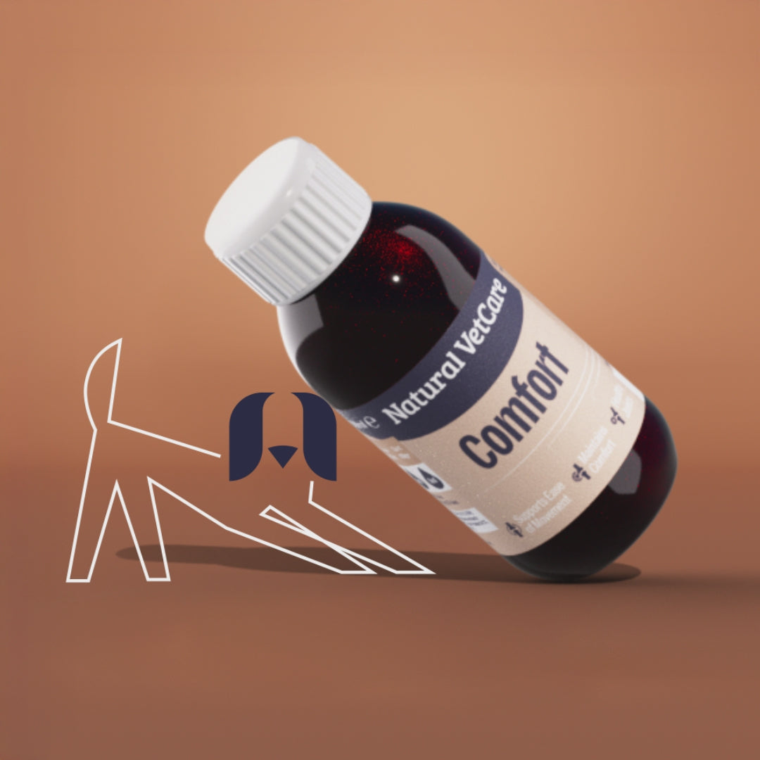 Video of animated dog lifting up a bottle of Natural VetCare Comfort liquid supplement