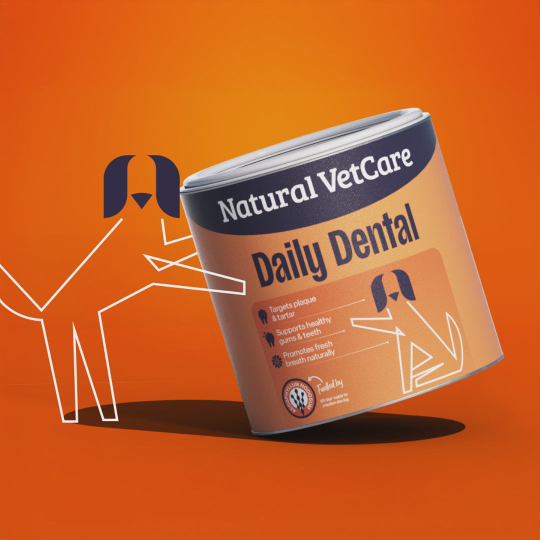 Video of animate dog pushing a tub of Natural VetCare Daily Dental 