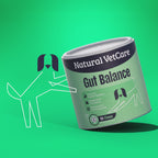 Video of animated dog pushing a tub of Natural VetCare Gut Balance supplement chews on a green background.
