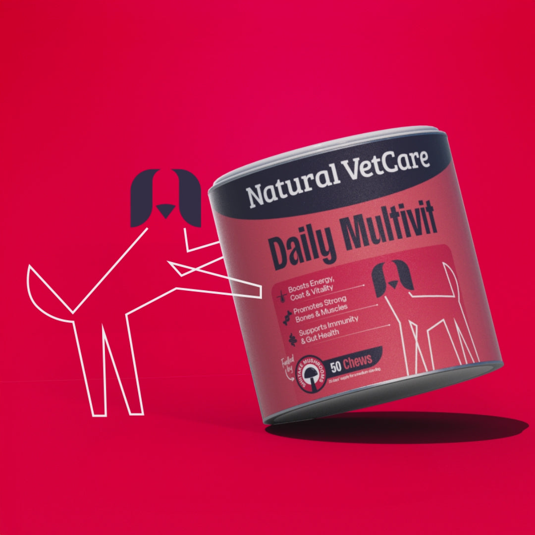 Video of animated dog leaning against a tub of Natural VetCare Daily Multivit chews on a red background.